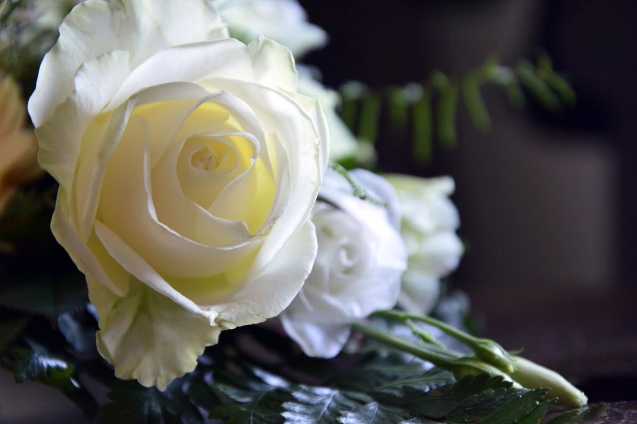 Corporate Floral Branding